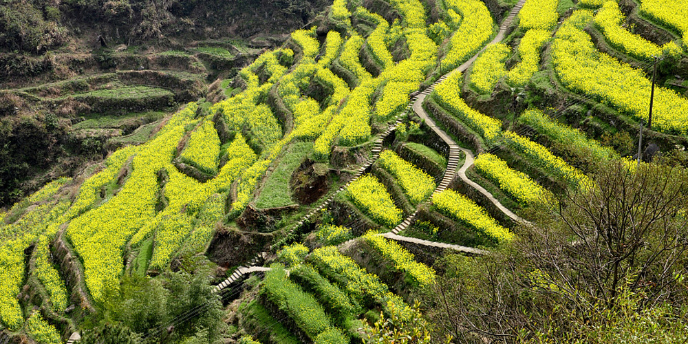 钱江源-1.jpg