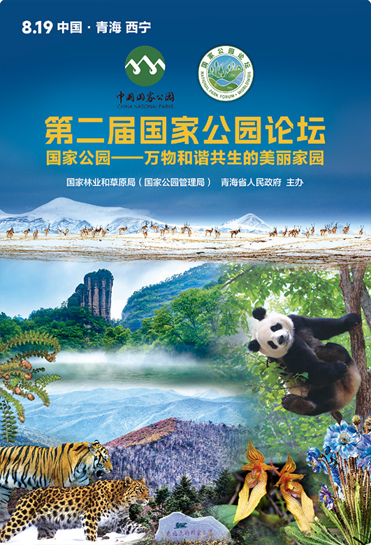 未标题-11.jpg 未标题-11.jpg