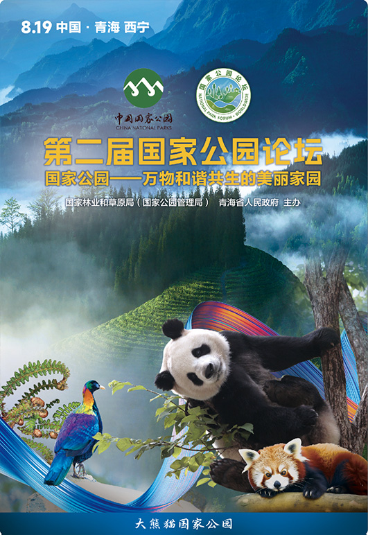 panda.jpg panda.jpg